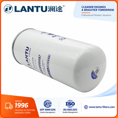 Lantu brandstoffilter 612630080087 CX1023 1117050B81DM 1000053555 1000422382 Reinigingsfilter